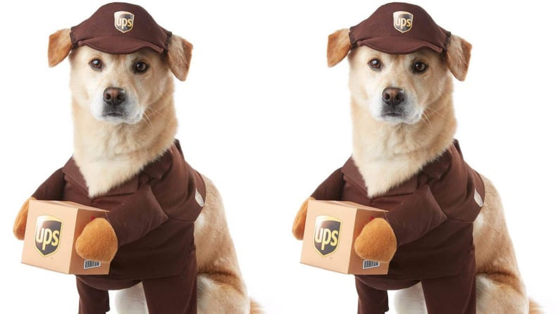 UPS pup