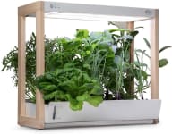 Product image of Rise Gardens Personal Garden