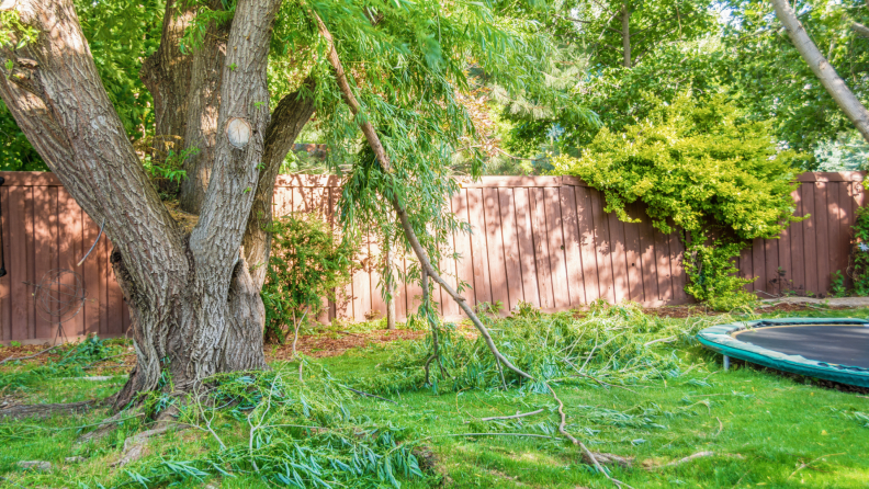 Broken tree branch falling off tree along with branch debris in a backyard next to a fence and trampoline