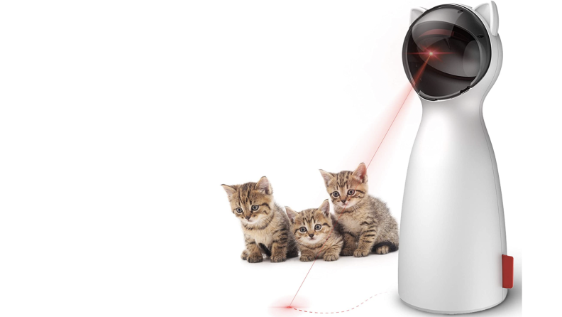 The cats watch the red dot from an automatic laser pointer