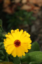 High ISO Photography