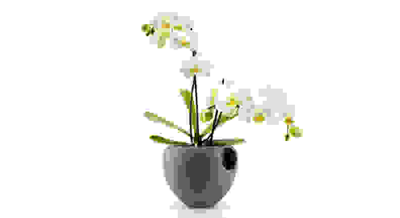 Eva Solo orchid pot