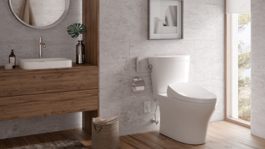 The Toto Arc toilet in a bathroom with white walls and natural wood.