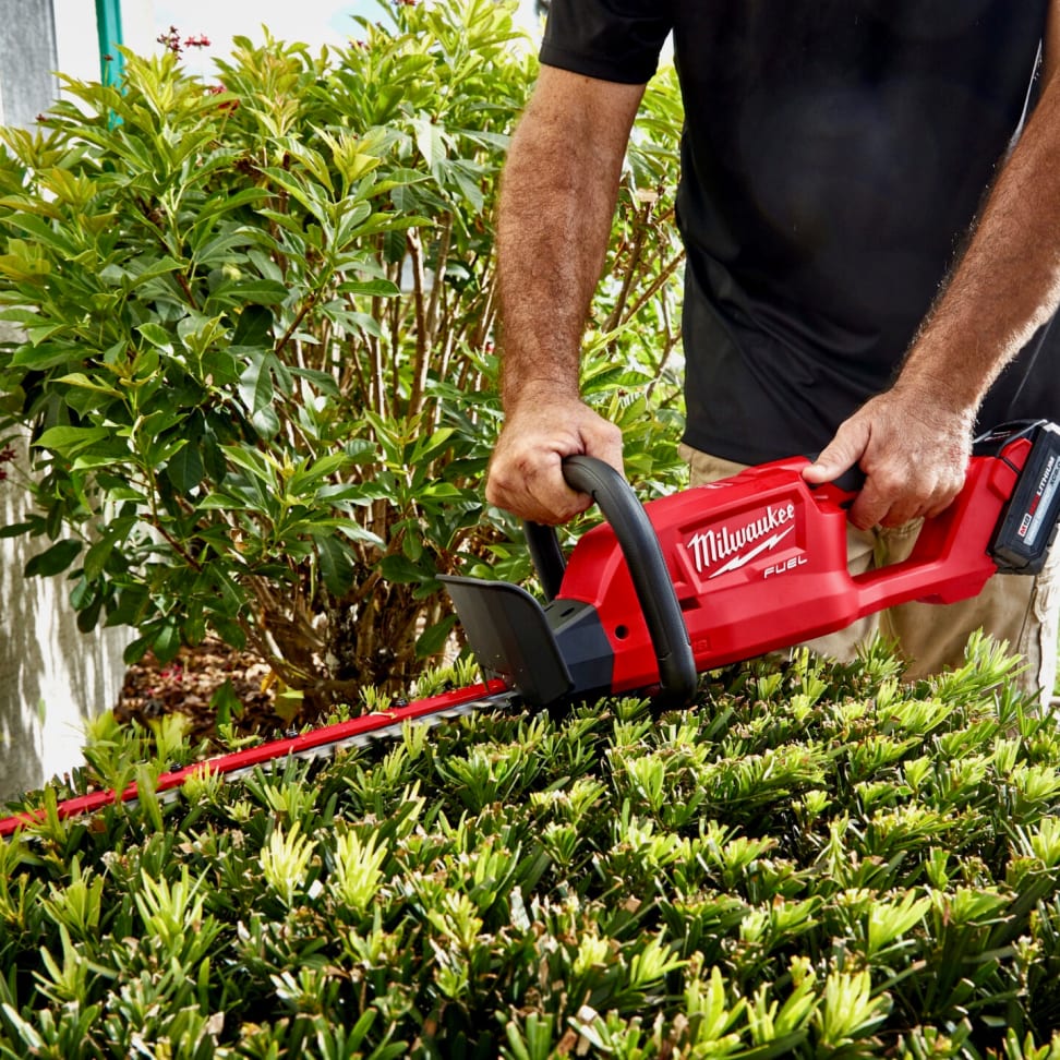 7 Best Hedge Trimmers of 2024 - Reviewed