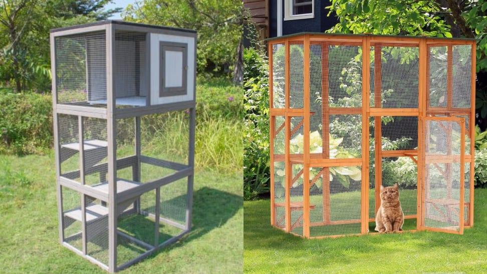 backyard cat enclosures