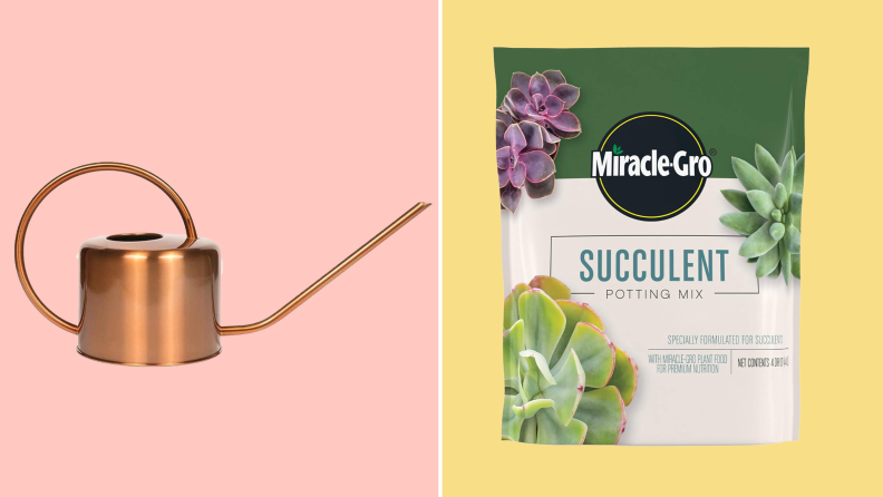 Photo collage of a copper watering can and a bag of succulent soil mix.