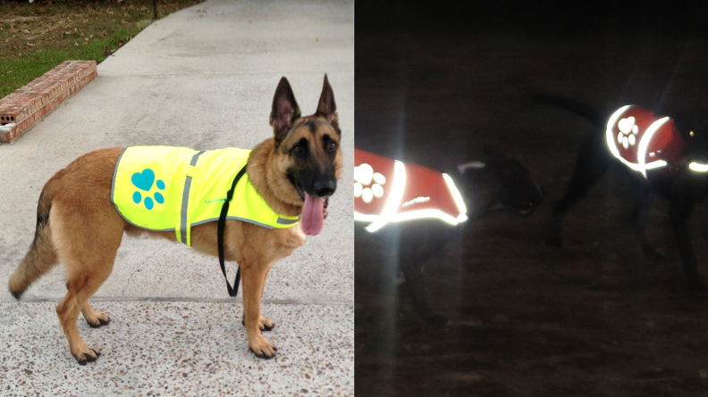 Safety Pup XD Reflective Jacket