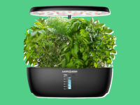 Front view of the Ahopegarden indoor growing system, with green plants growing, against a green background.