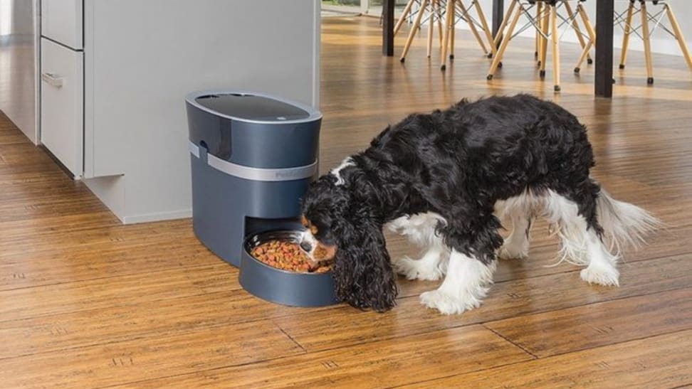 iUcar Dog Feeders Automatic Pet Feeders for Dogs Cats with Large