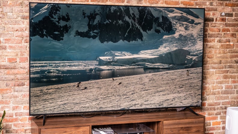 Antartica displayed on the TV.