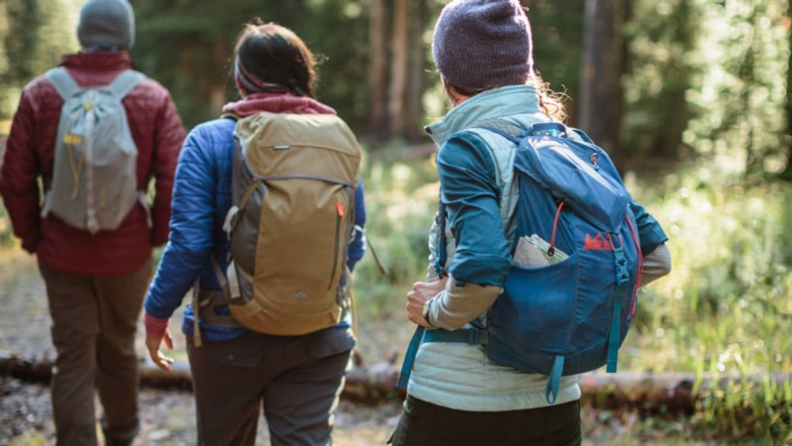 Three people carrying REI daypacks hike in the wilderness.