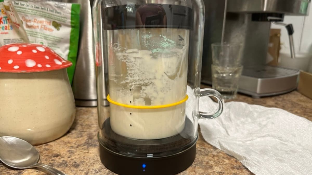 Goldie: A Warm, Safe Home for Your Sourdough Starter by Sourhouse