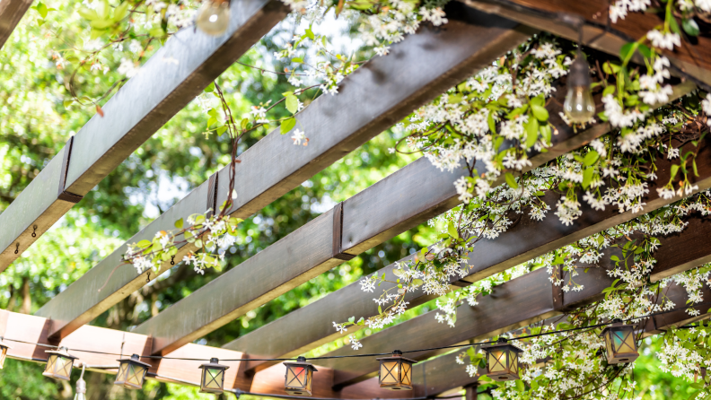 A close up of a patio pergola surrounded by flowers and vines.