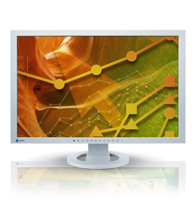 Product Image - Eizo FlexScan S2402W