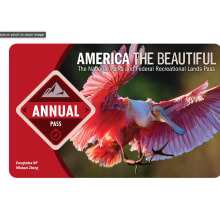 Product image of America the Beautiful National Parks and Federal Lands Pass