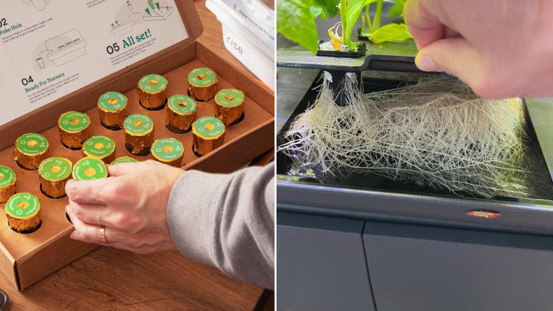 Left: A person handling seed pods with the Rise Garden. Right: A hand lifting the Rise Garden shelves to show the hydroponic roots beneath the surface