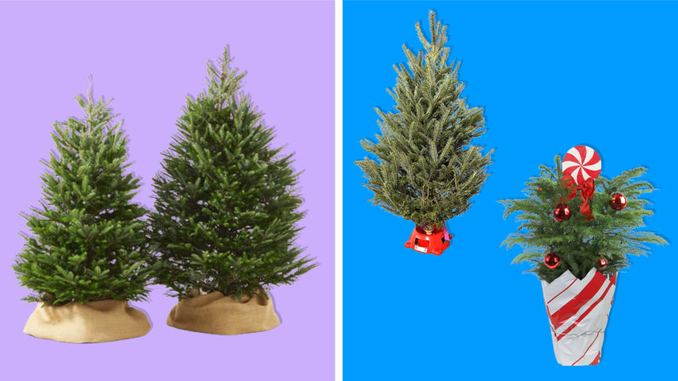A selection of the best christmas trees you can buy online on purple and blue background.
