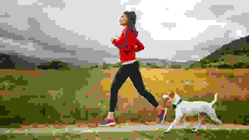 A jogger takes their dog along for a run; the dog is wearing a Wagz Freedom Smart Dog Collar.