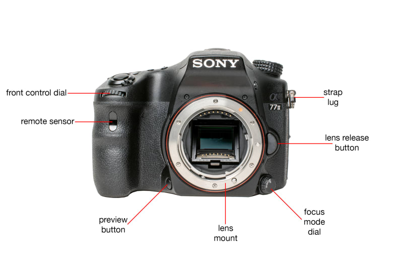 lecho Alternativa recursos humanos Sony Alpha A77 II Digital Camera Review - Reviewed