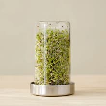 Product image of Forages