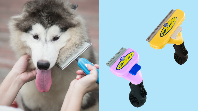 Dog brush