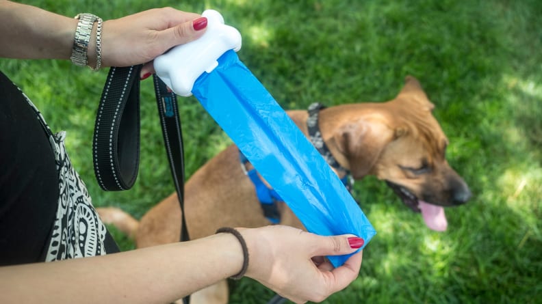 The 8 Best Dog Poop Bags of 2024, Tested and Reviewed
