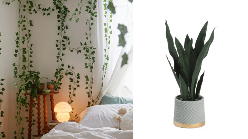 On the left, faux Ivy vines hanging around a bedroom. On the right, a snake plant against a white background.