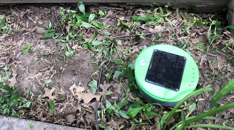 A Tertill weeding robot in a narrow garden bed