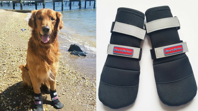Bark Brite Dog Shoes