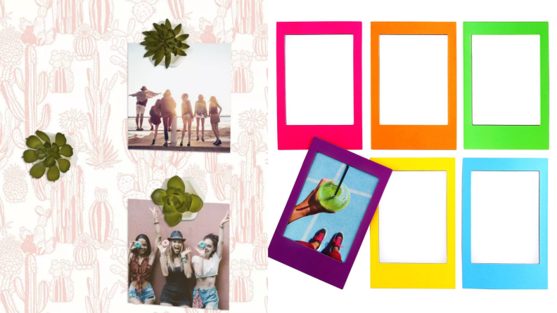 On left, three mini succulent plants holding photos of a smiling group of friends in front of pink and white background. On right, six Instax magnetic rainbow frames.