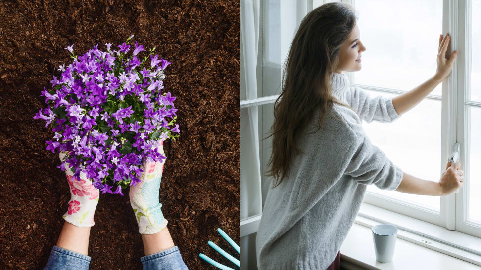 A pot of flowers and a woman opening a window