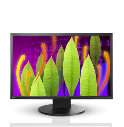 Product Image - Eizo FlexScan EV2216W