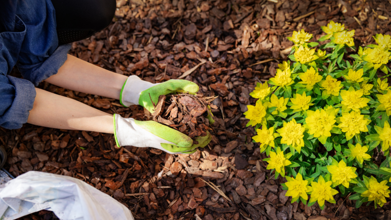 person mulching in the garden