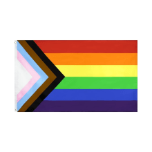Product image of Flaglink Progress Pride