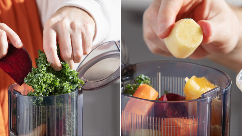 A hand placing all sorts of fruits and vegetables inside the H310A