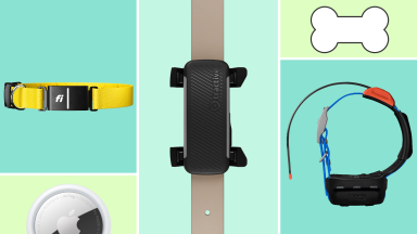 Four dog trackers and a cartoon dog bone on a colorful background