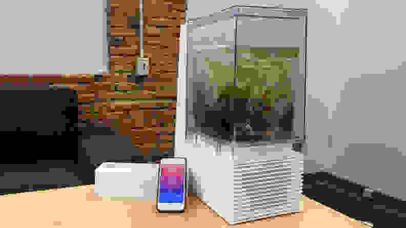 Mellow sous vide machine and app