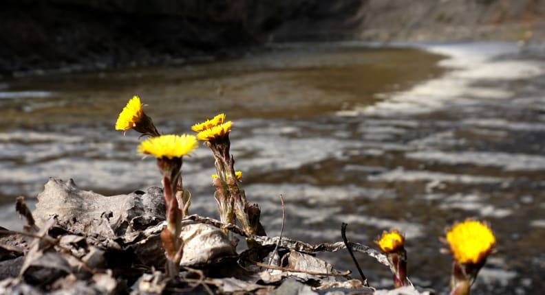 SONY-A6000-SAMPLE-PHOTOS-UPLOAD-24.jpg