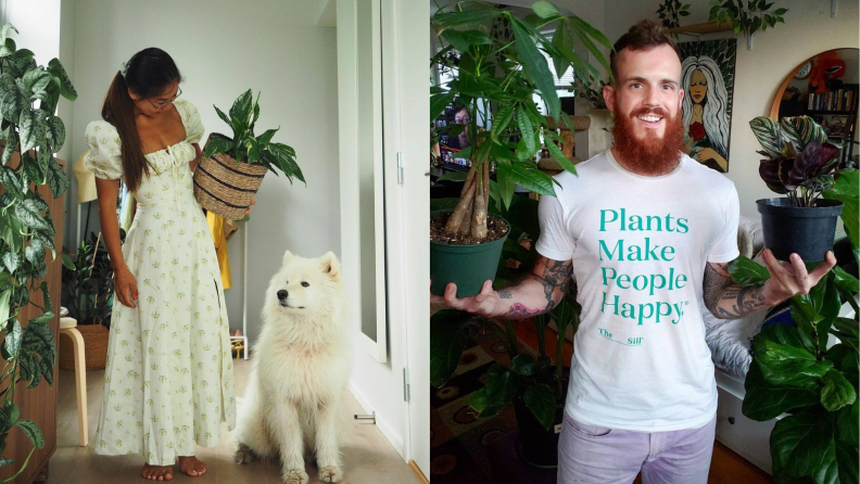 Left: A white dog looks up at a person holding a plant; Right: a person with a beard holds one plant in each hand.