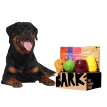 Product image of Bark Box Super Chewer Box