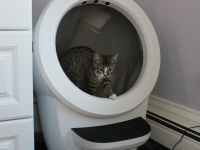 Piper the cat in the Litter Robot 4