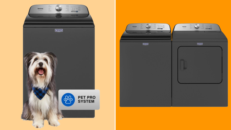 Product shot of the Maytag Pet Pro MVW6500MBK top-load washer with fluffy dog standing next to it.