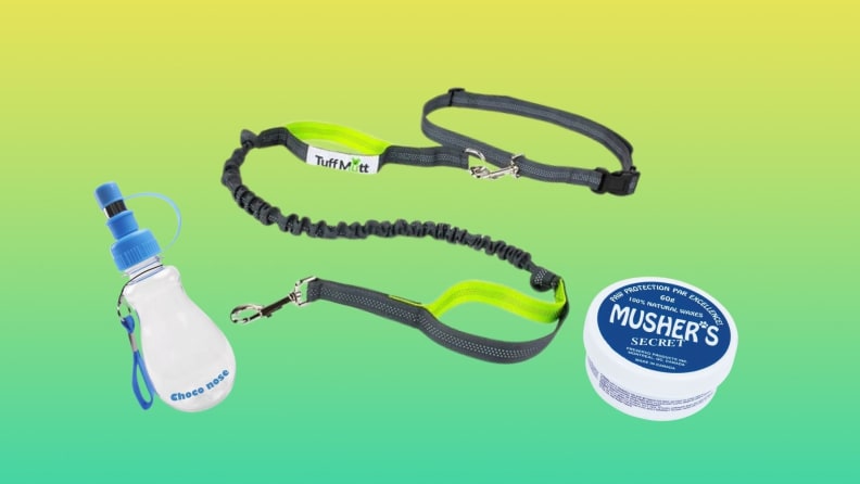 A portable dog water bottle, dog leash, and jar of ointment for dog paws on a green gradient background