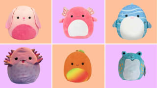 Assorted colorful plush, animal themed Squishmallow children's toys.