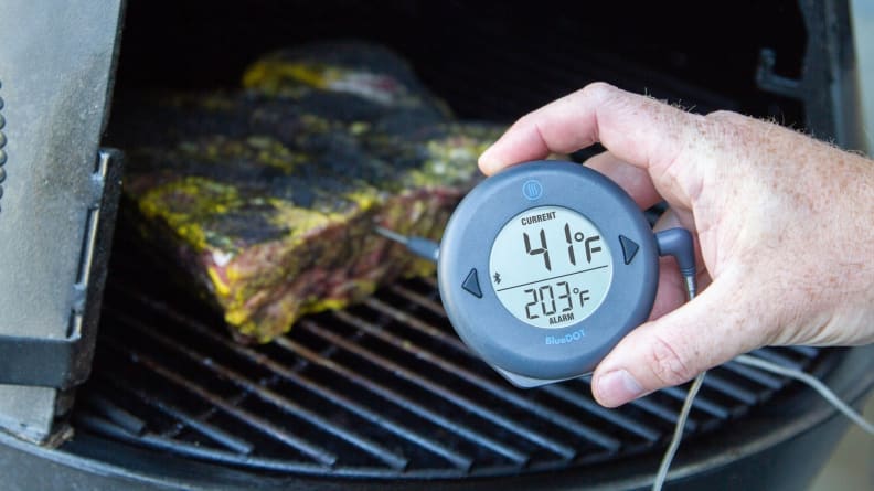 The Right Way to Use a Meat Thermometer 