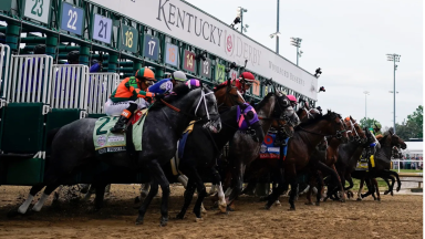 Horses leaving starting gate of Kentucky Derby