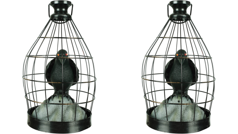 Crow in cage