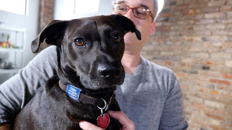 A dog named Cooper