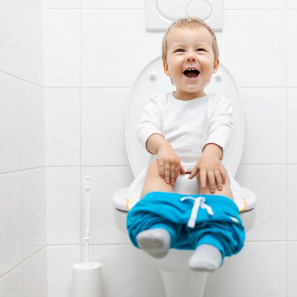 6 Best Potty Training Seats of 2023 - Reviewed