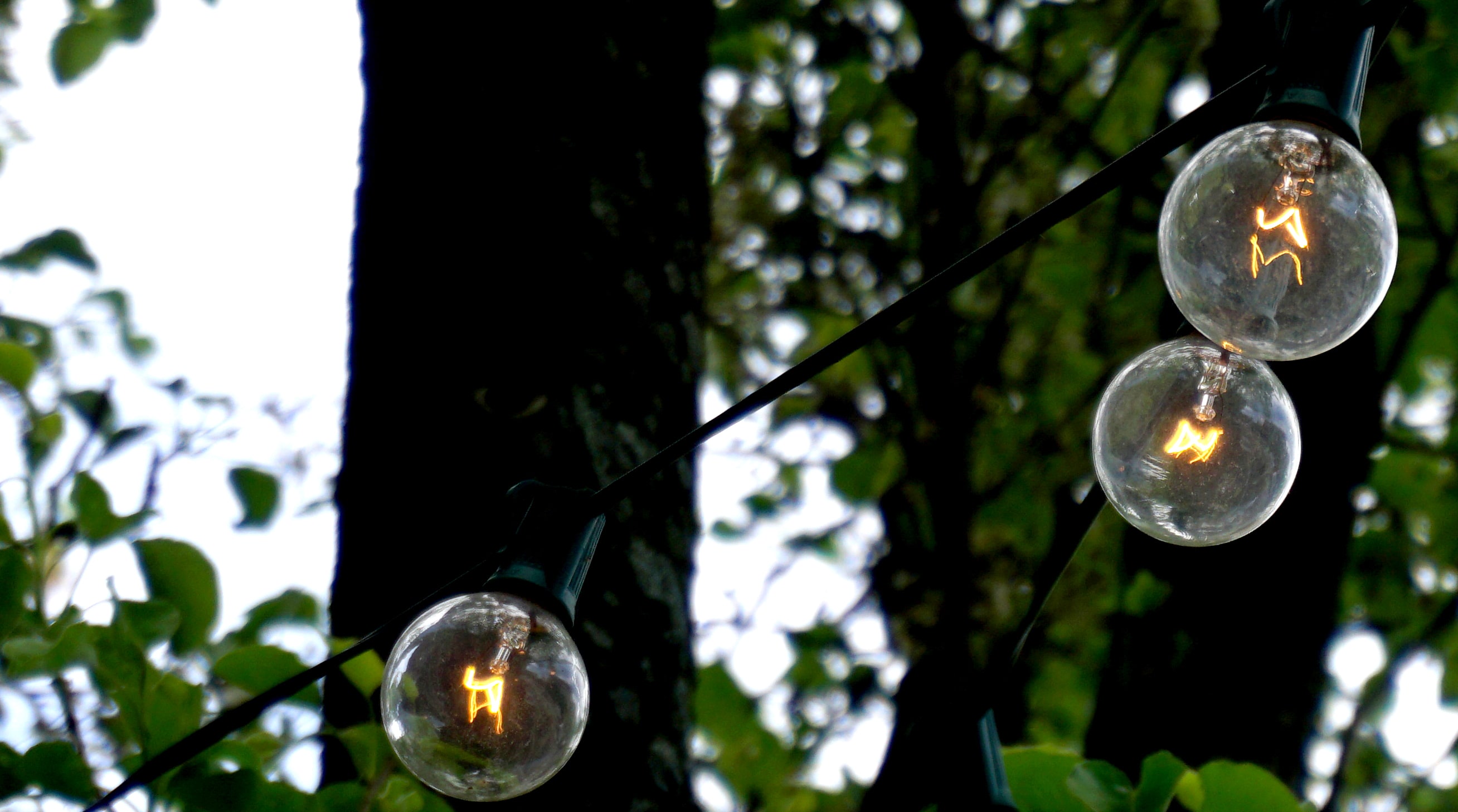 Sony Alpha A6000 Digital Camera Review Cameras